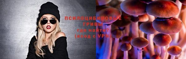 индика Нефтегорск