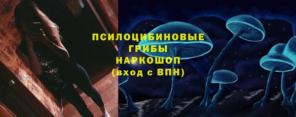 стаф Нефтекумск