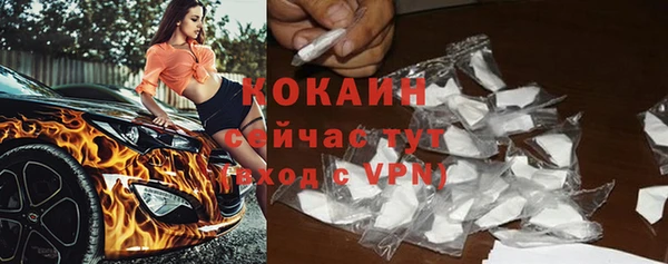 индика Нефтегорск
