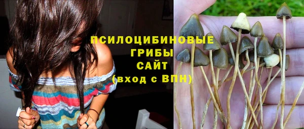 стаф Нефтекумск