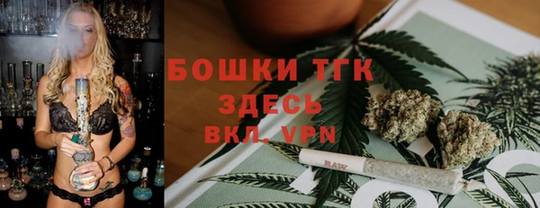 индика Нефтегорск
