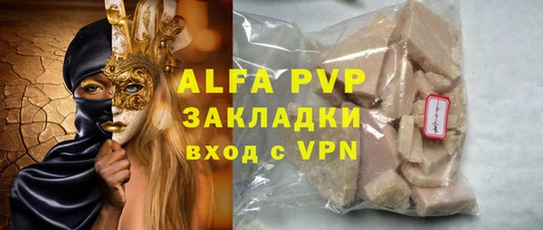 индика Нефтегорск