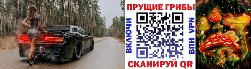 Псилоцибиновые грибы ЛСД  где купить наркоту  Стрежевой 